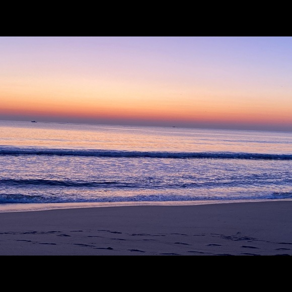 Meet your Posher, Maddie - Picture 1 of 1